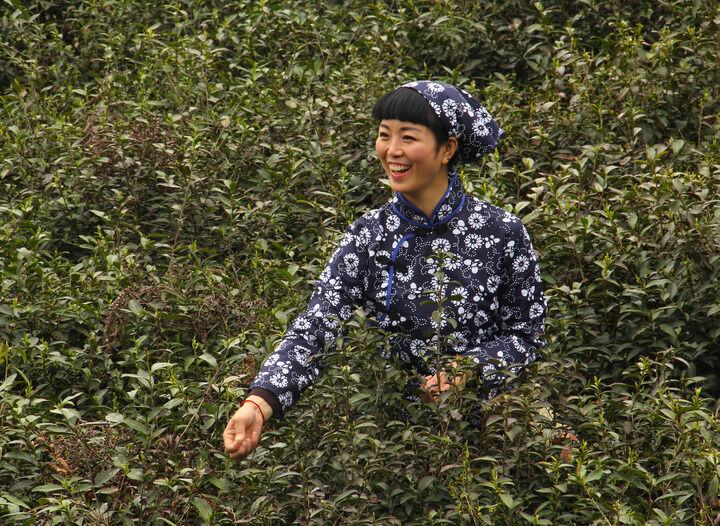 成人视频 热门3